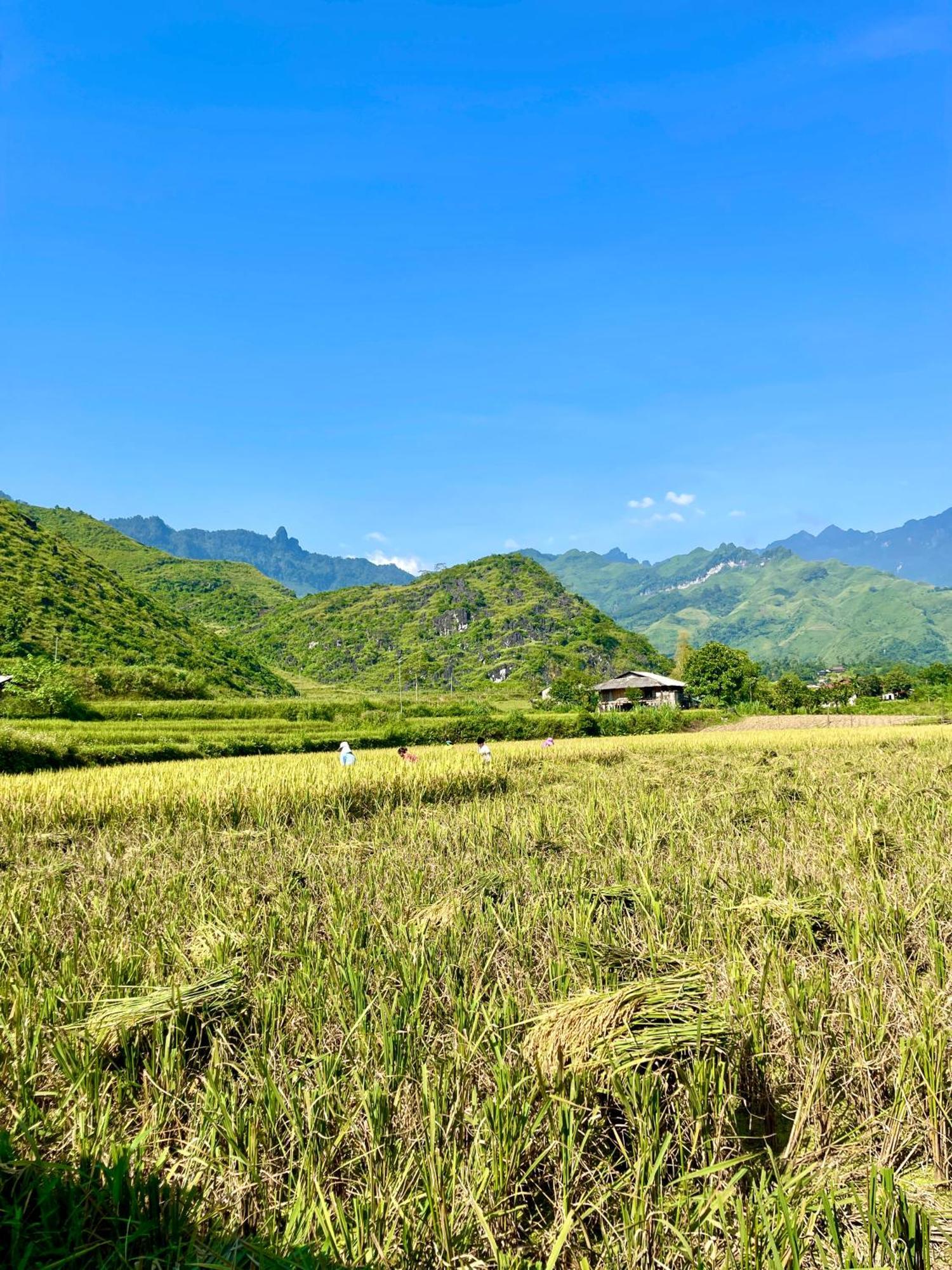 Du Gia Family & Coffee Country house Lang Cac